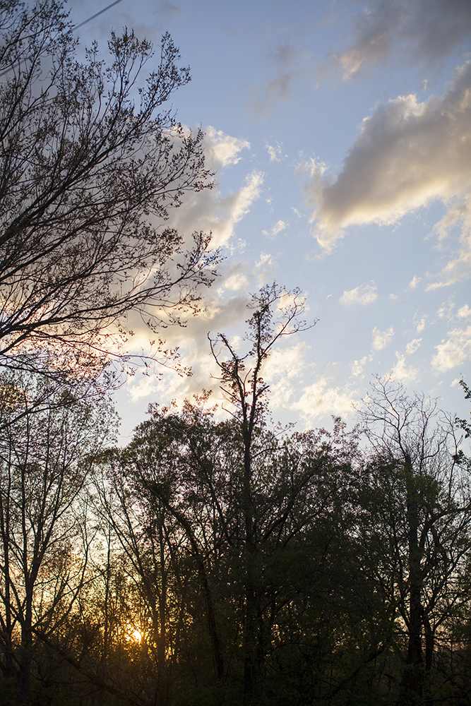 7onsun_april_2014_7