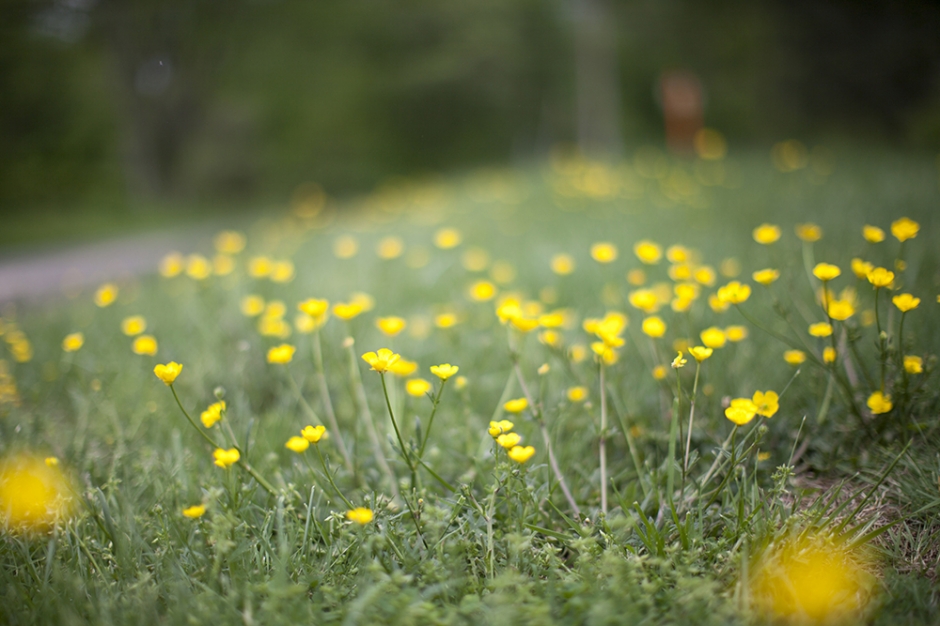 may_2014_personal_img4