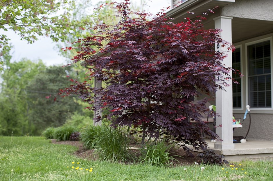 may_2014_personal_img6