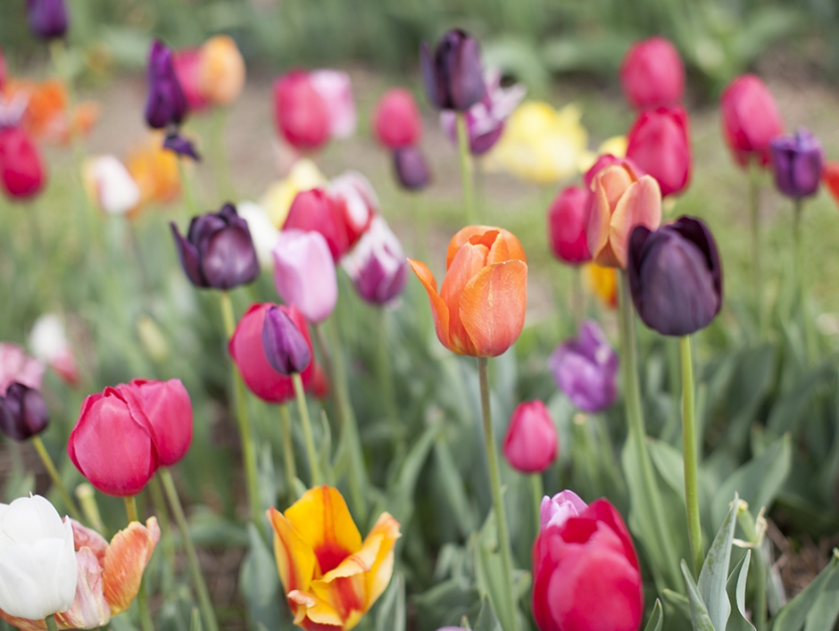 may_2014_personal_0068