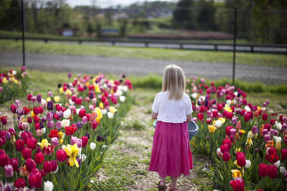 stacy_bryce_engagement_img33