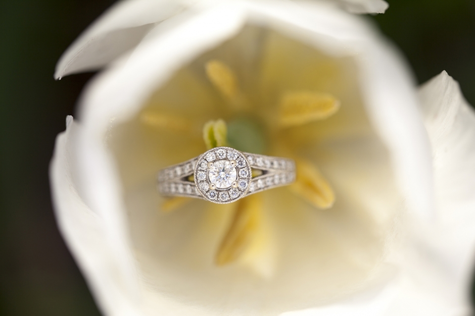 stacy_bryce_engagement_img62