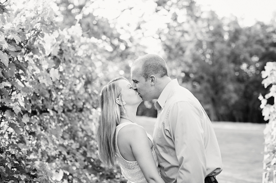 engagement_lagrange_img42b